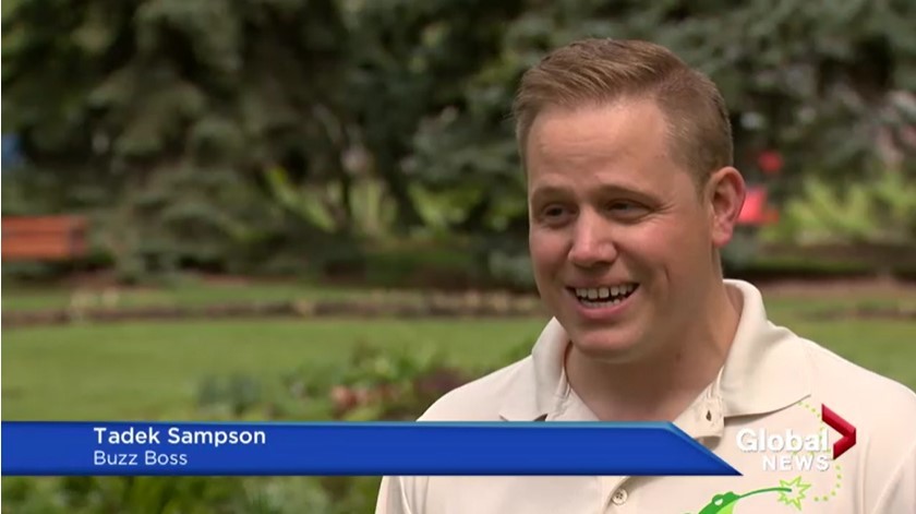 Tadek Sampson from Buzz Boss gives interview for Global News