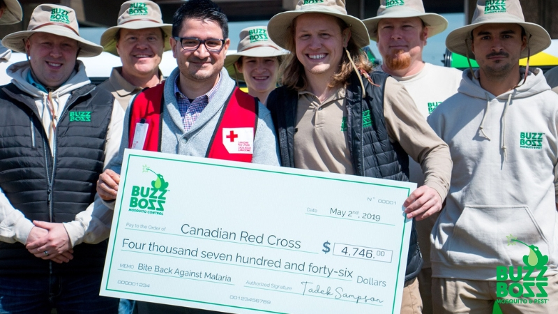 Buzz Boss collaboration with Red Cross