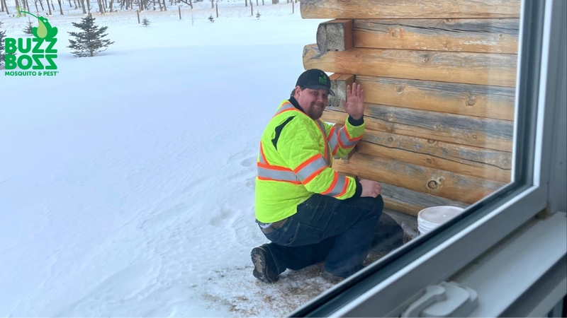 Buzz Boss employee working on pest exclusion during winter