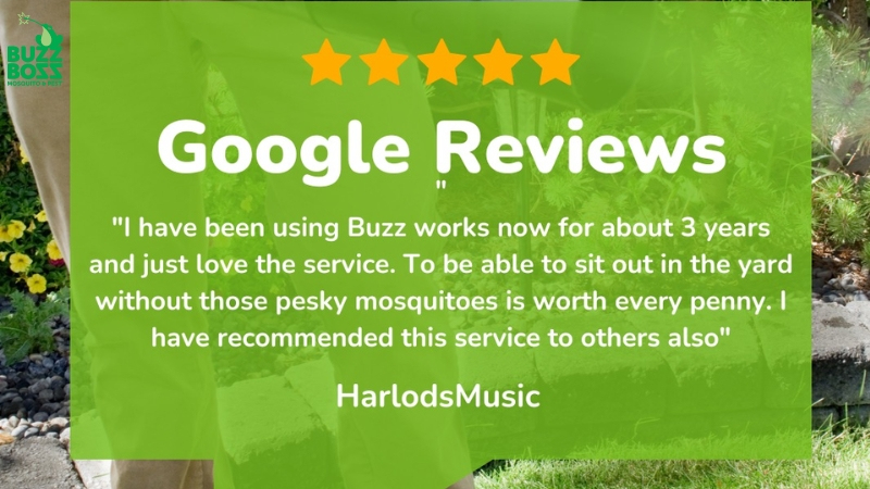 Buzz Boss customer review