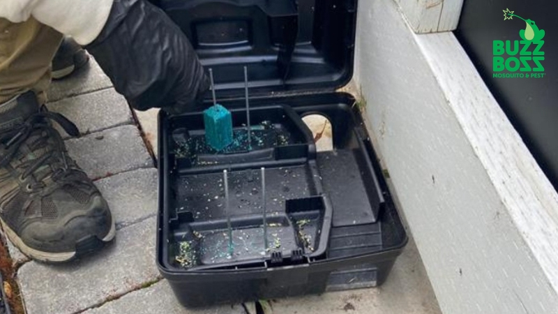 A Buzz Boss technician placing bait in a rodent trap set near the exterior of a home.