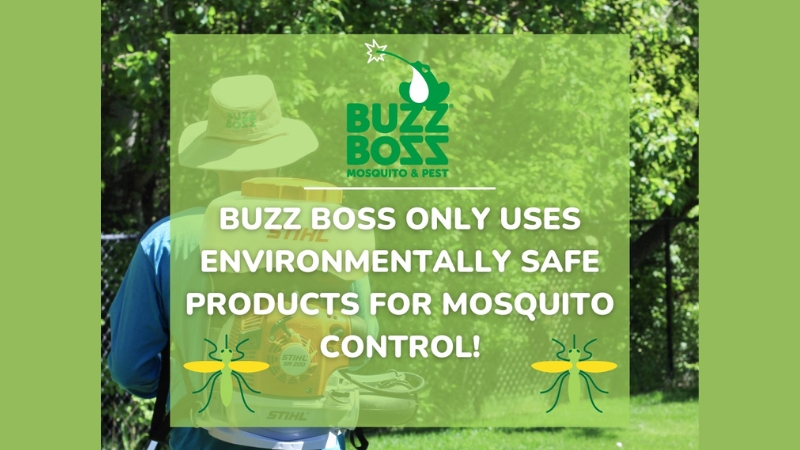 Buzz Boss safe products for mosquito control