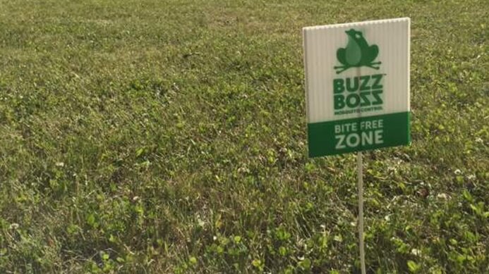 Buzz Boss Sign