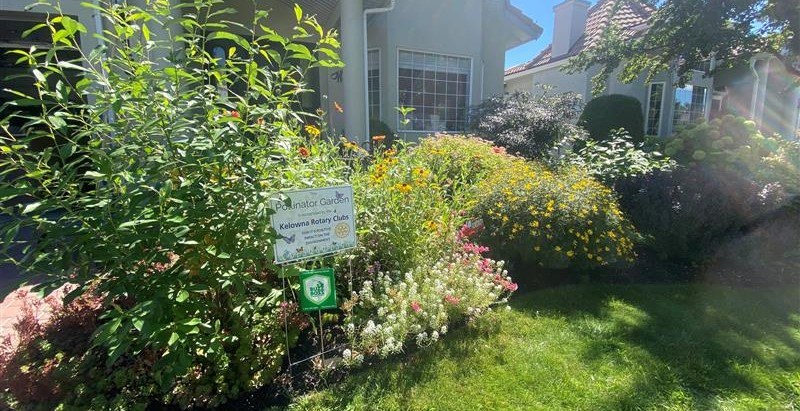 Buzz Boss sign on a beautiful lawn