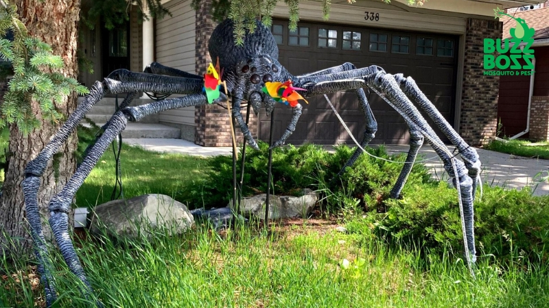 Buzz Boss halloween spider