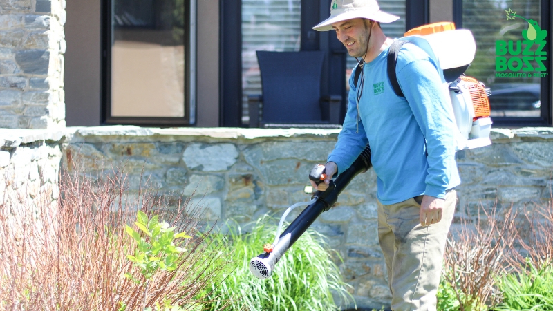 Buzz Boss worker spraying the yard in Calgary against mosquitos