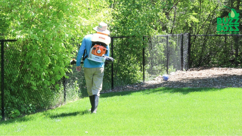 Buzz Boss worker spraying backyard against pests