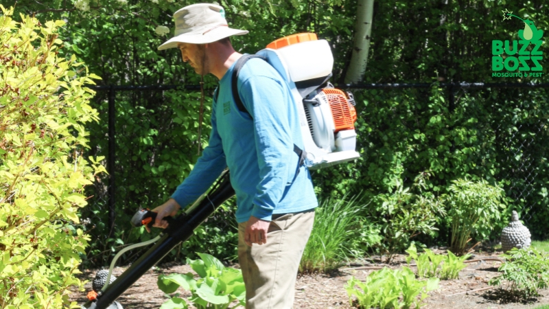 Buzz Boss worker spraying a yard