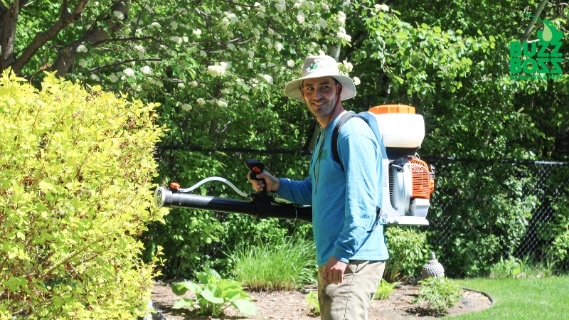 Buzz Boss worker spraying yard against spiders
