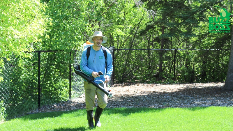 Buzz Boss worker spraying yard against pests
