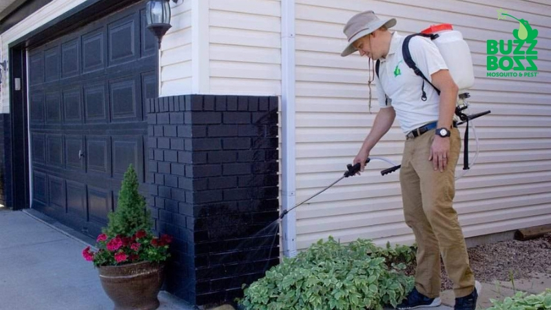 Which Pests Can You Expect to See This Summer In Your Calgary Yard?