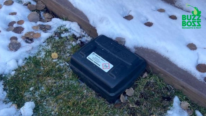 buzz boss rodent trap in okanagan