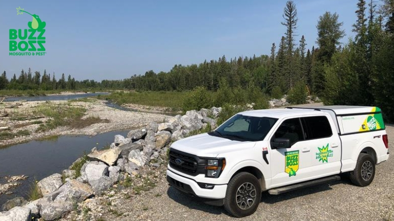buzz boss truck in okanagan near a forest