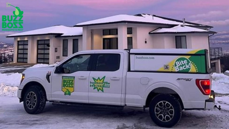 A Buzz Boss pest control truck parked outside a modern home in winter, covered in snow