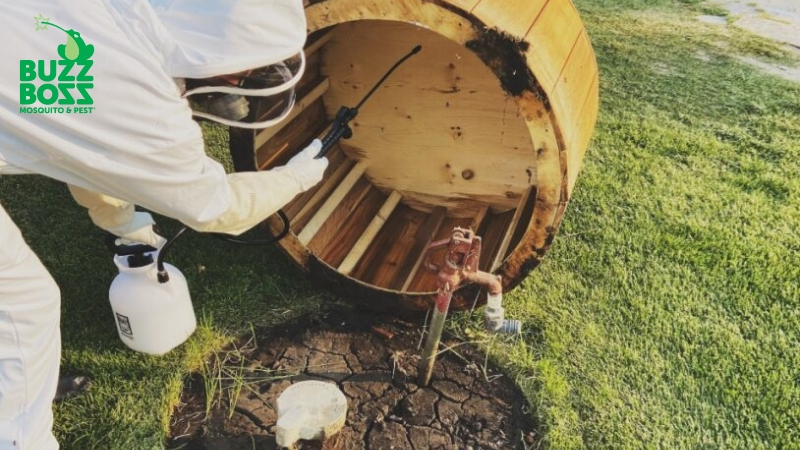 Buzz Boss worker spraying against wasps