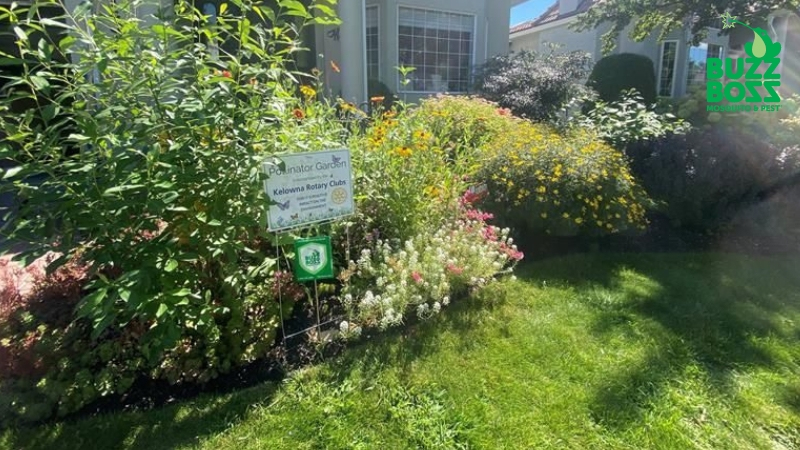 beautiful yard with buzz boss sign in okanagan