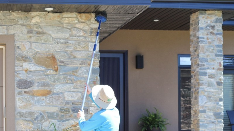 Buzz Boss technician performing spider removal service.