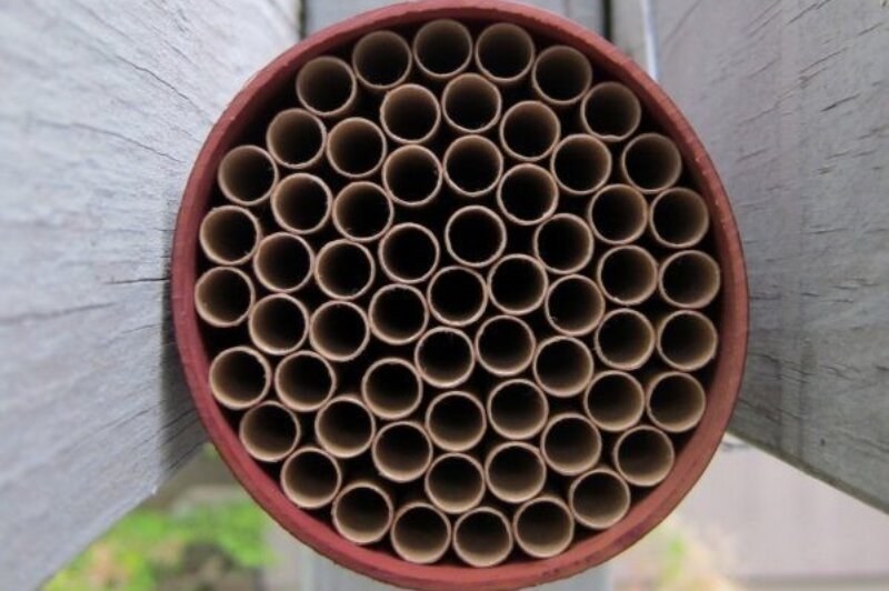 DIY Bee Hive