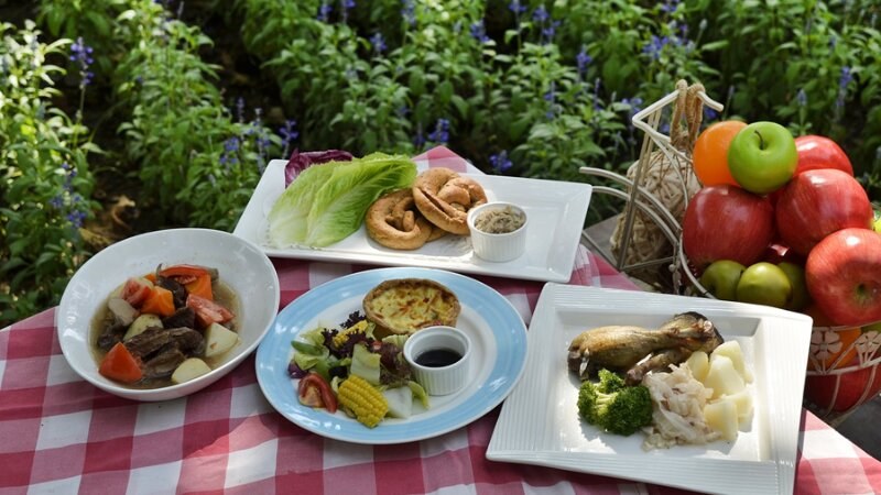 Leftover food in plates outdoors