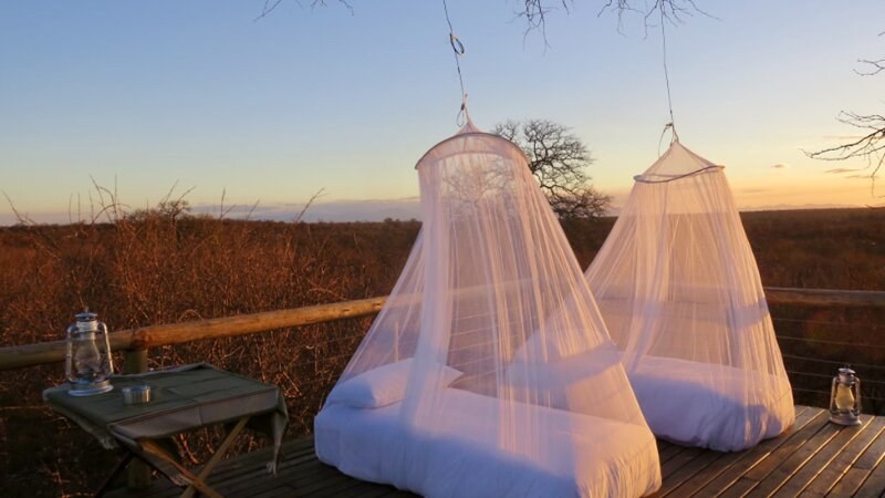 White mosquito protection mesh on beds outdoors