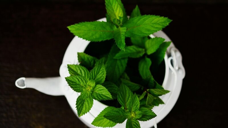 Peppermint oil
