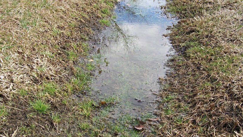 Puddle
