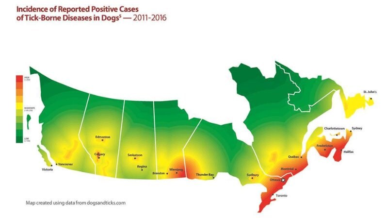 Reported Tick Cases