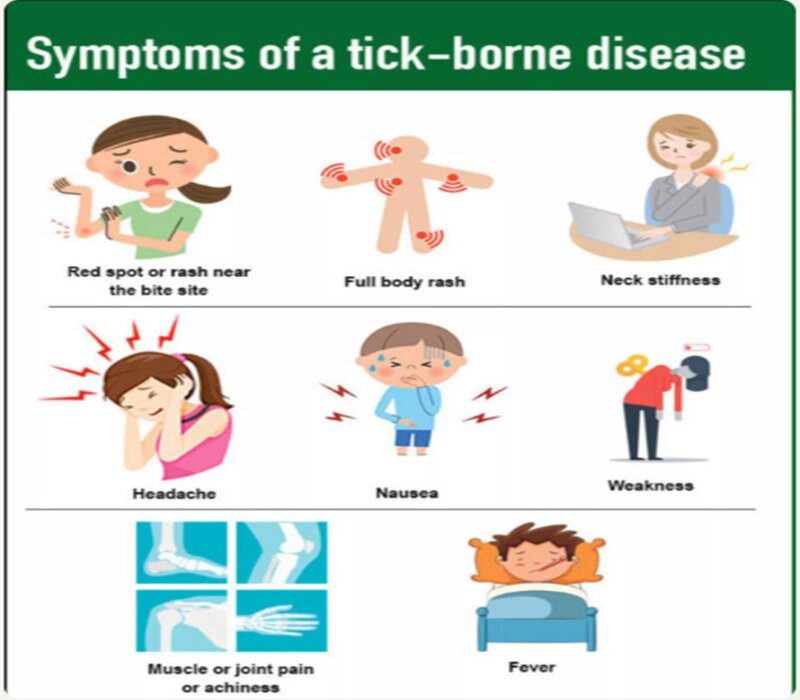 Symptoms